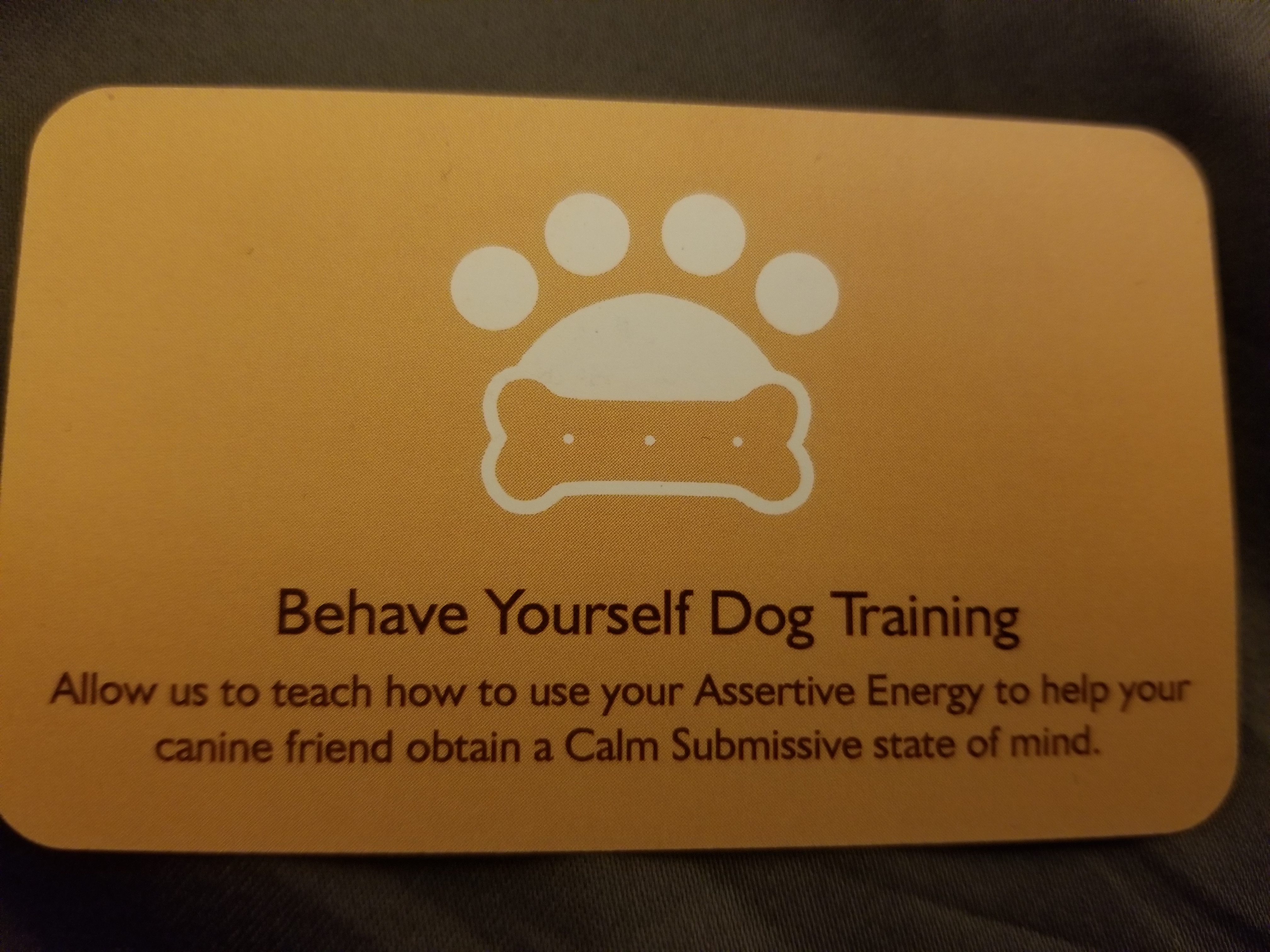 Behave Yourself  Dog Training 