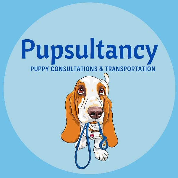 Puppy training consultations & Transportation