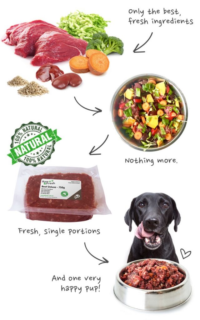 Buy Dog Food Online