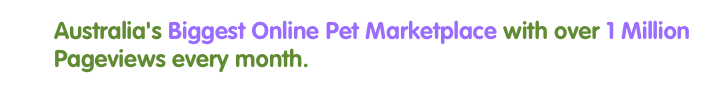 Why Pet Sales